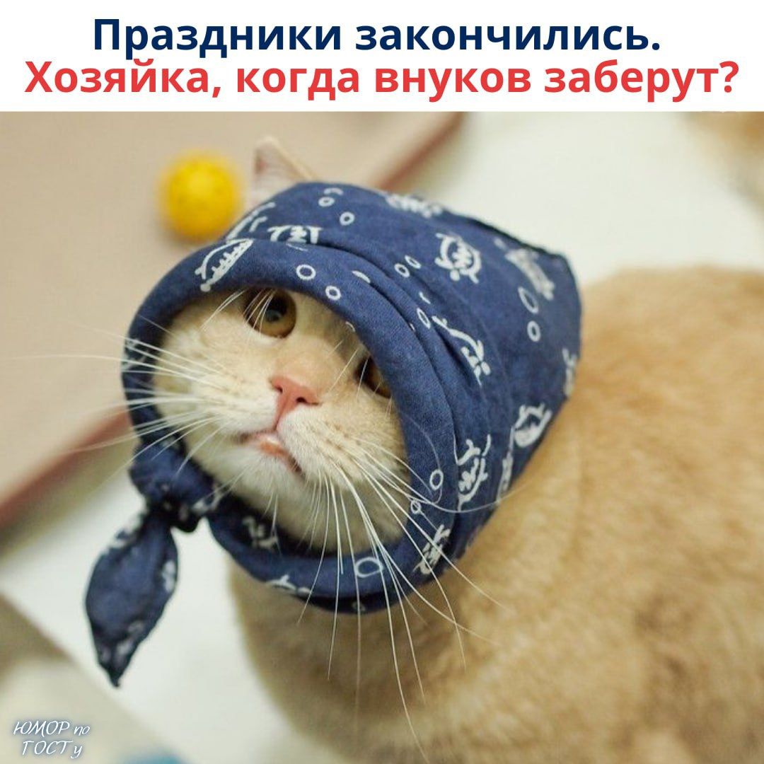 Праздники закончились. Хозяйка, когда внyков заберут?