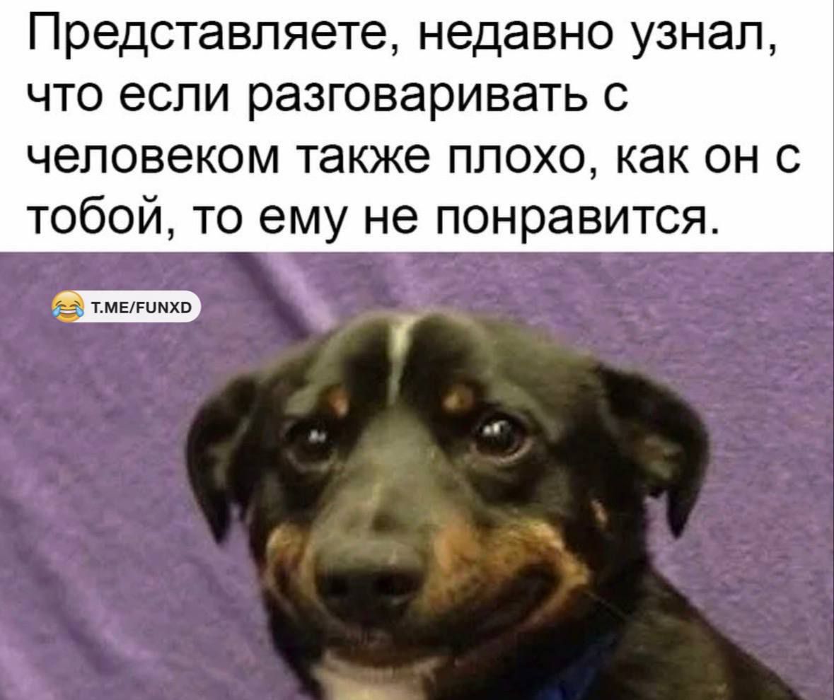 Представляете, недавно узнал, что если разговаривать с человеком также плохо, как он с тобой, то ему не понравится.