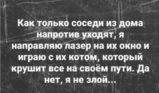 Как только соседи из дома напротив уходят, я направляю лазер на их окно и играю с их котом, который крушит все на своём пути. Да нет, я не злой..