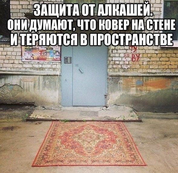 ЗАЩИТА ОТ ДКАШЕЙ. ОНИ ДУМАЮТ, ЧТО КОВЁР НА СТЕНЕ И ТЕРЯЮТСЯ В ПРОСТРАНСТВЕ