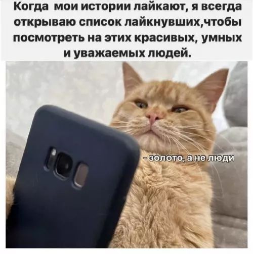Когда мои истории лайкают, я всегда открываю список лайкнувших, чтобы посмотреть на этих красивых, умных и уважаемых людей.
- золото, а не люди