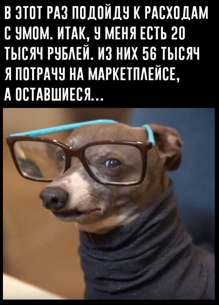 В ЭТОТ РАЗ ПОЙДУ К РАСХОДАМ С УМОМ. ИТАК, У МЕНЯ ЕСТЬ 20 ТЫСЯЧ РУБЛЕЙ. ИЗ НИХ 56 ТЫСЯЧ Я ПОТРАТУ НА МАРКЕТПЛЕЙСЕ, А ОСТАВИВШИЕ...