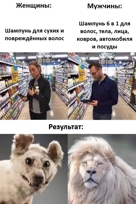 Женщины:
Шампунь для сухих и повреждённых волос
Мужчины:
Шампунь 6 в 1 для волос, тела, лица, ковров, автомобиля и посуды
Результат:

