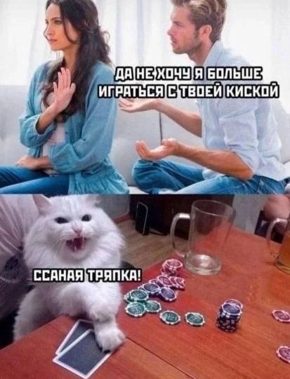 Да не хочу я больше играться с твоей киской
Ссаная тряпка!