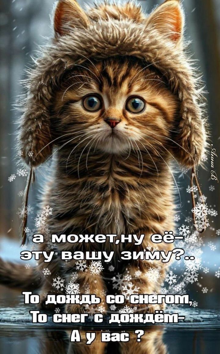 а может,ну её— эту вашу зиму?.. То дождь со снегом, То снег с дождём — А у вас?