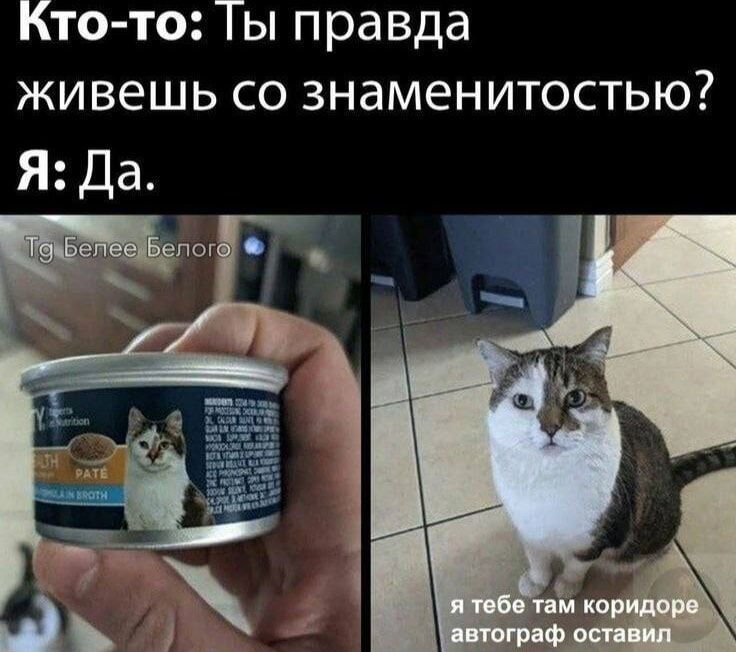 Кто-то: Ты правда живешь со знаменитостью? Я: Да.

(на изображении слева надпись на банке: возможно реклама; на изображении справа подпись: я тебе там коридоре автограф оставил)