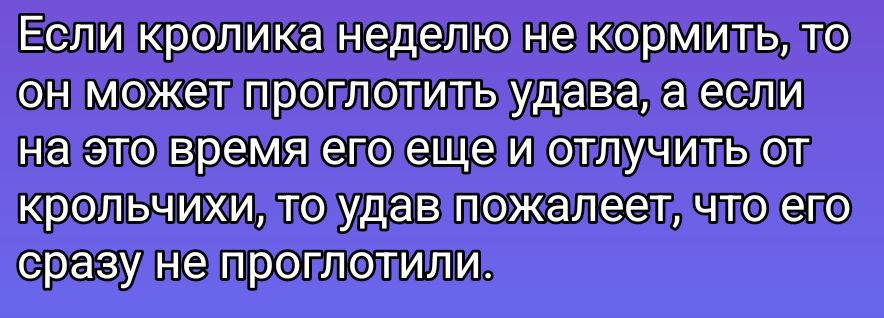 Если кролика неделю не кормить, то он может проглотить удава, а если на это время его еще и отлучить от крольчихи, то удав пожалеет, что его сразу не проглотили.