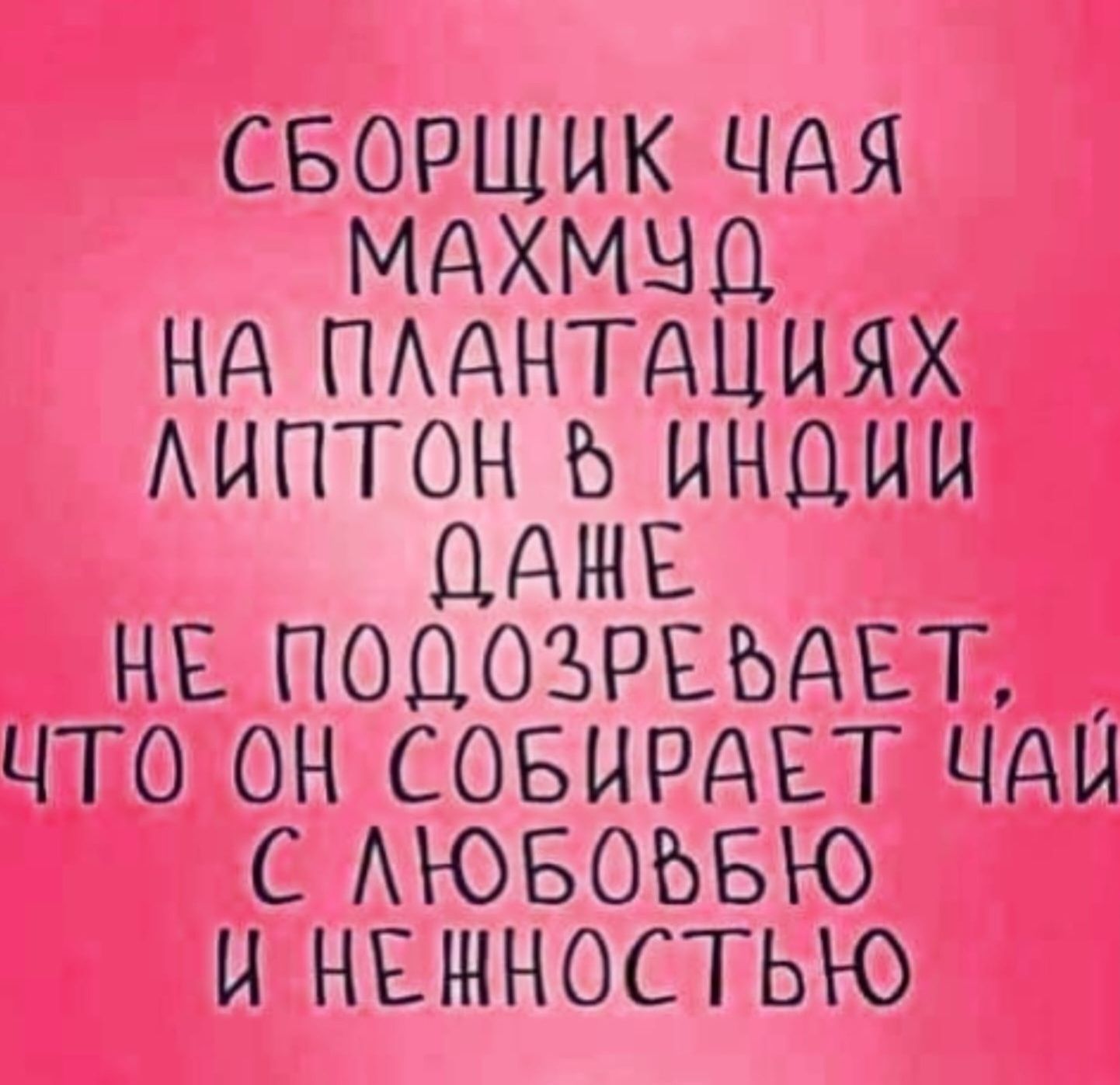 СБОРЩИК ЧАЯ МАХМУД НА ПЛАНТАЦИЯХ ЛИПТОН В ИНДИИ ДАЖЕ НЕ ПОДОЗРЕВАЕТ, ЧТО ОН СОБИРАЕТ ЧАЙ С ЛЮБОВЬЮ И НЕЖНОСТЬЮ