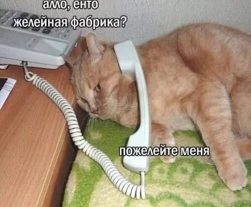 алло, енто желейная фабрика?
пожалейте меня