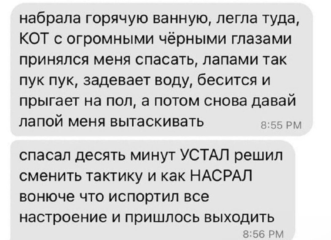 набрала горячую ванную, легла туда, КОТ с огромными чёрными глазами принялся меня спасать, лапами так пук пук, задевает воду, бесится и прыгает на пол, а потом снова давай лапой меня вытаскивать

спасал десять минут устал решил сменить тактику и как НАСРАЛ воночче что испортил все настроение и пришлось выходить