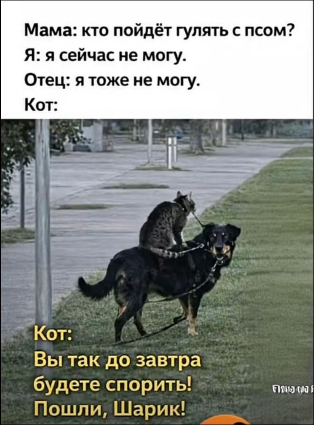 Мама: кто пойдет гулять с псом? Я: я сейчас не могу. Отец: я тоже не могу. Кот:\nКот: Вы так до завтра будете спорить! Пошли, Шарик!