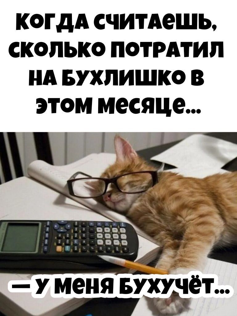 КОГДА СЧИТАЕШЬ, СКОЛЬКО ПОТРАТИЛ НА БУХЛИШКО В ЭТОМ МЕСЯЦЕ... — У МЕНЯ БУХУЧЁТ...