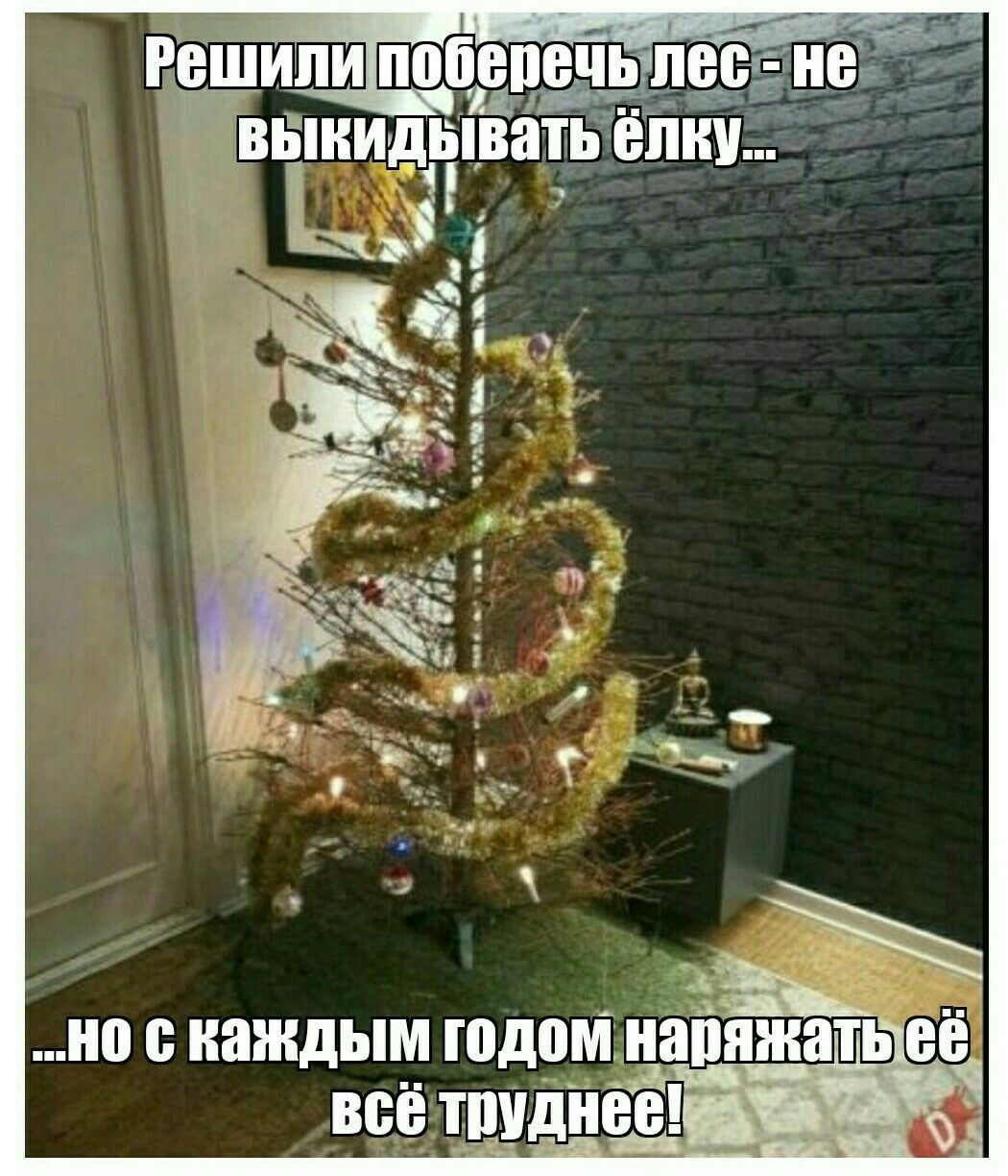 Решили поберечь лес - не выкидывать ёлку... но с каждым годом наряжать её всё труднее!