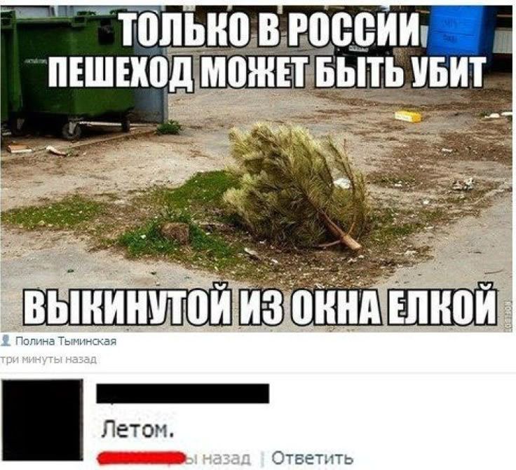 ТОЛЬКО В РОССИИ ПЕШЕХОД МОЖЕТ БЫТЬ УБИТ ВЫКИНУТОЙ ИЗ ОКНА ЕЛКОЙ
Летом.
