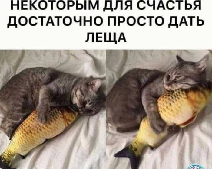 НЕКОТОРЫМ ДЛЯ СЧАСТЬЯ ДОСТАТОЧНО ПРОСТО ДАТЬ ЛЕЩА