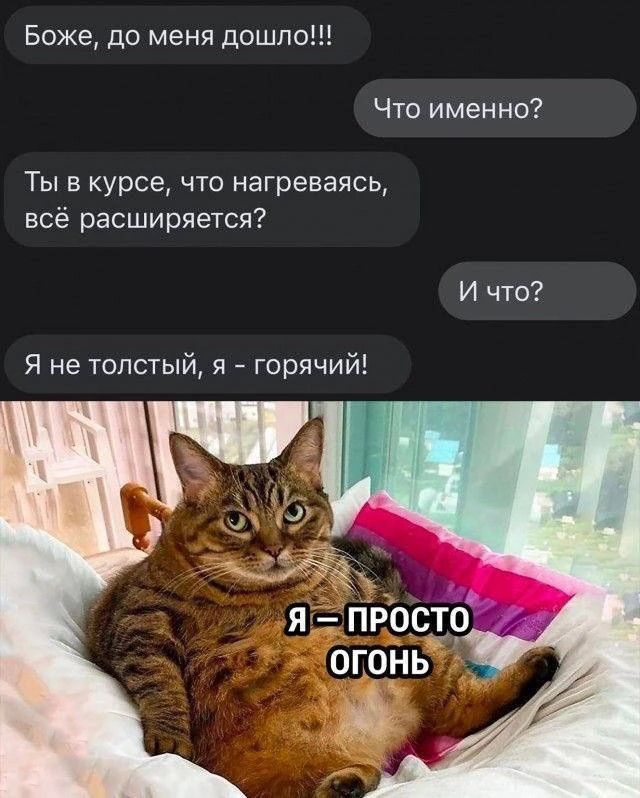 Боже, до меня дошло!!!\nЧто именно?\nТы в курсе, что нагреваясь, всё расширяется?\nИ что?\nЯ не толстый, я — горячий!\nЯ — ПРОСТО ОГОНЬ