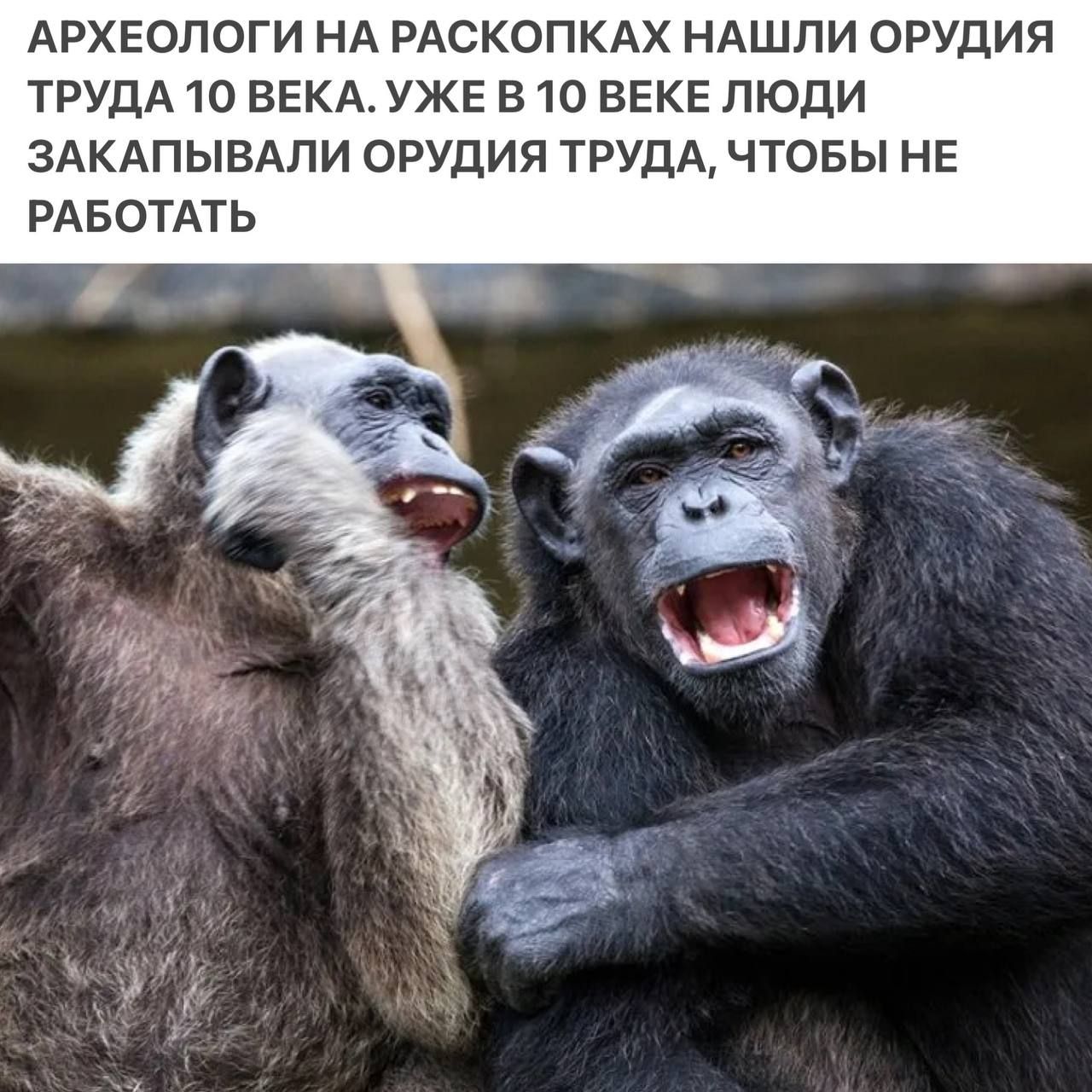 АРХЕОЛОГИ НА РАСКОПКАК НАШЛИ ОРУДИЯ ТРУДА 10 ВЕКА. УЖЕ В 10 ВЕКЕ ЛЮДИ ЗАКАПЫВАЛИ ОРУДИЯ ТРУДА, ЧТОБЫ НЕ РАБОТАТЬ