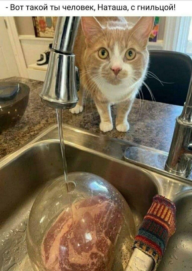 Вот такой ты человек, Наташа, с гнильцом!
