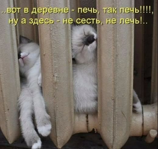 Вот в деревне - печь, так печь!!!, ну а здесь - не сесть, не лечь!