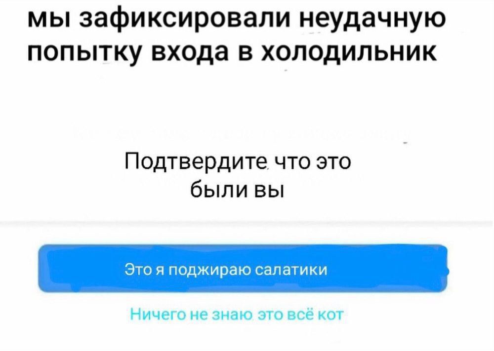 мы зафиксировали неудачную попытку входа в холодильник Подтвердите что это были вы Это я поджираю салатики Ничего не знаю это всё кот