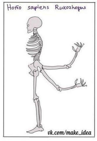 Homo sapiens Rukozhopus
vk.com/make_idea