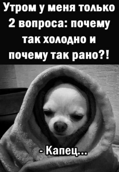 Утром у меня только 2 вопроса: почему так холодно и почему так ранo?! - Капец...