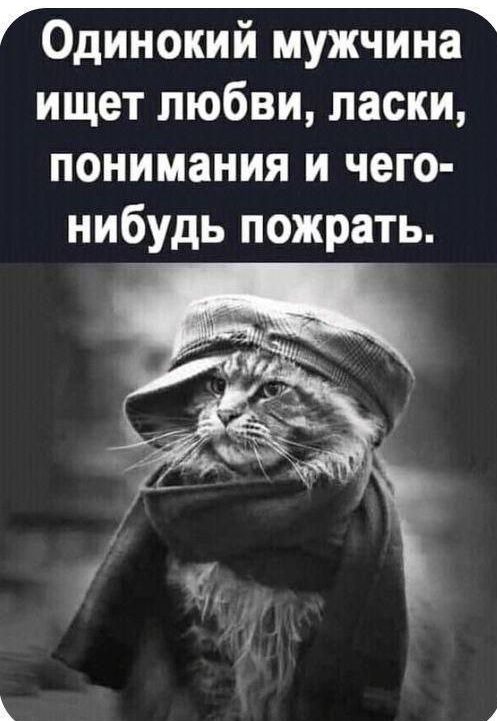 Одинокий мужчина ищет любви, ласки, понимания и чего-нибудь пожрать.