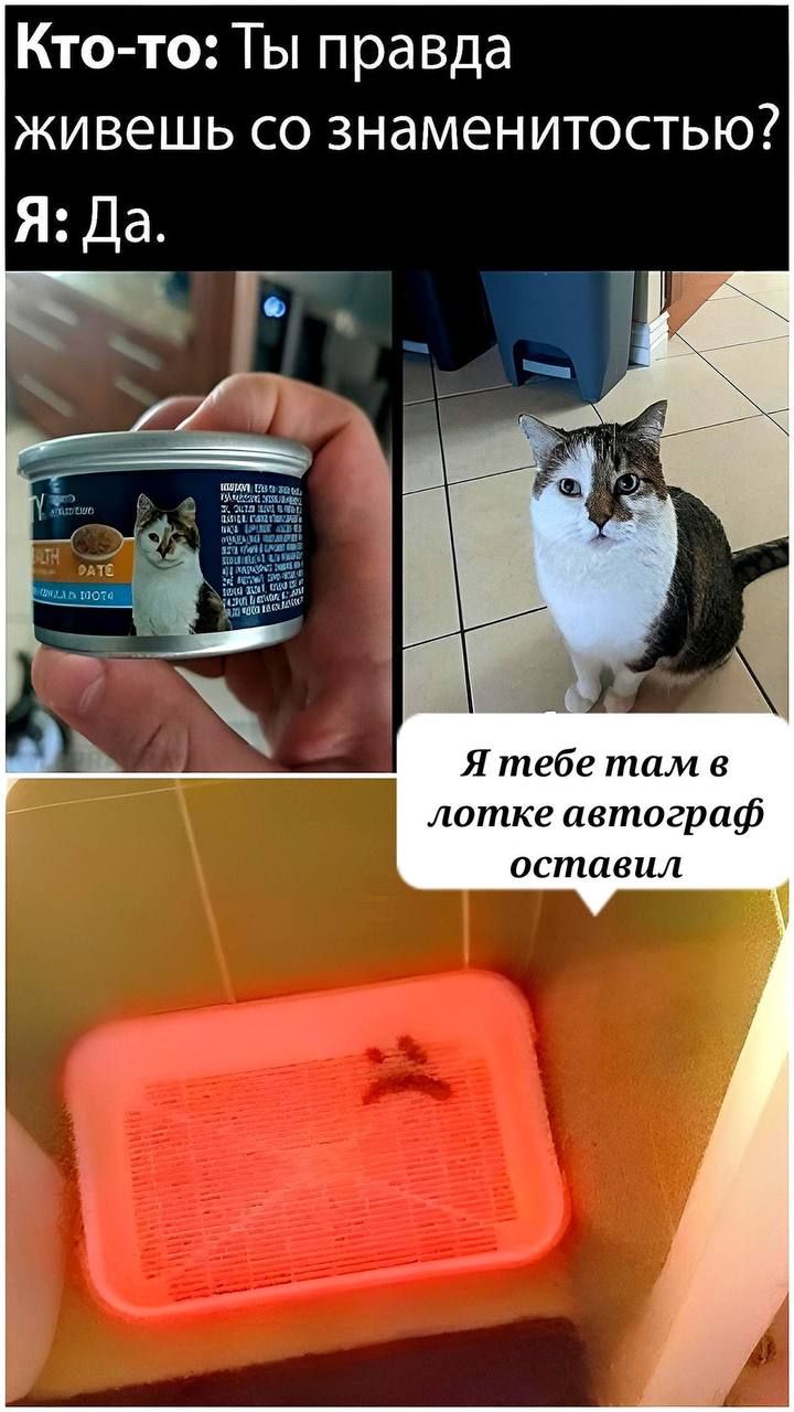 Кто-то: Ты правда живешь со знаменитостью? Я: Да.\nЯ тебе там в лотке автограф оставил