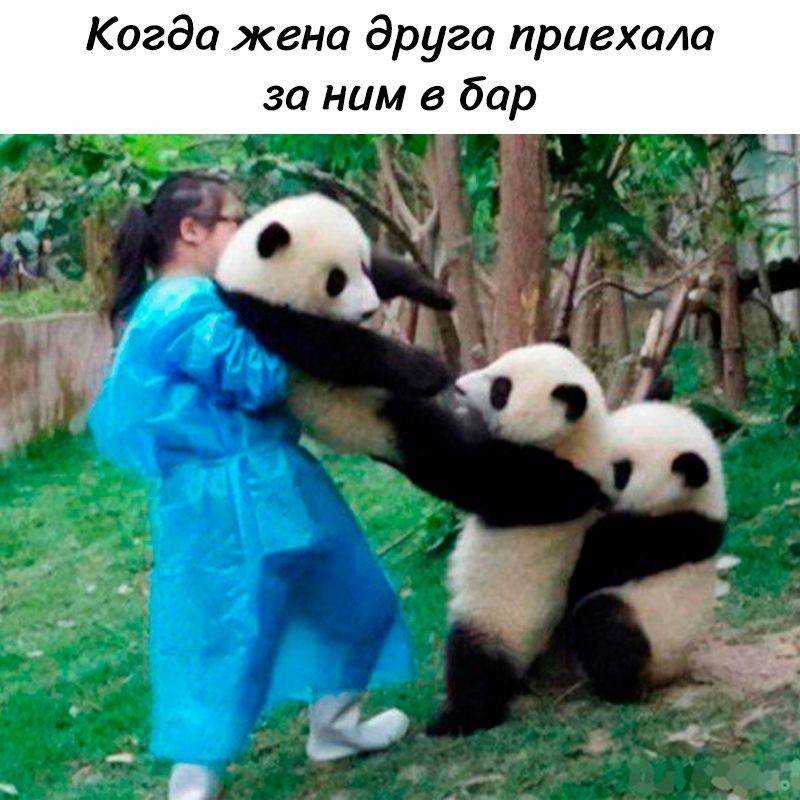 Когда жена друга приехала за ним в бар