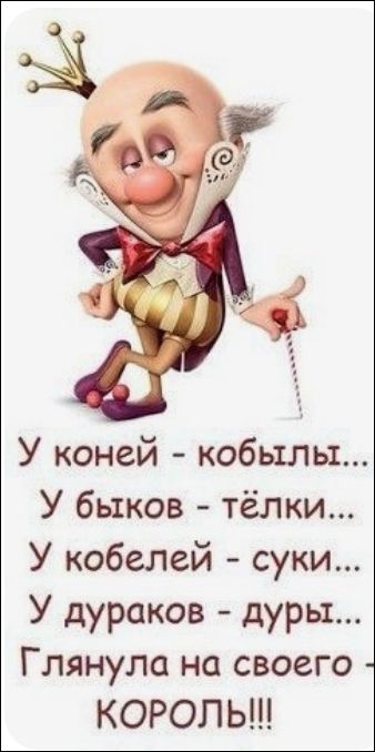У коней - кобыли...
У быков - тёлки...
У кобелей - суки...
У дураков - дуры...
Глянула на своего - король!!!