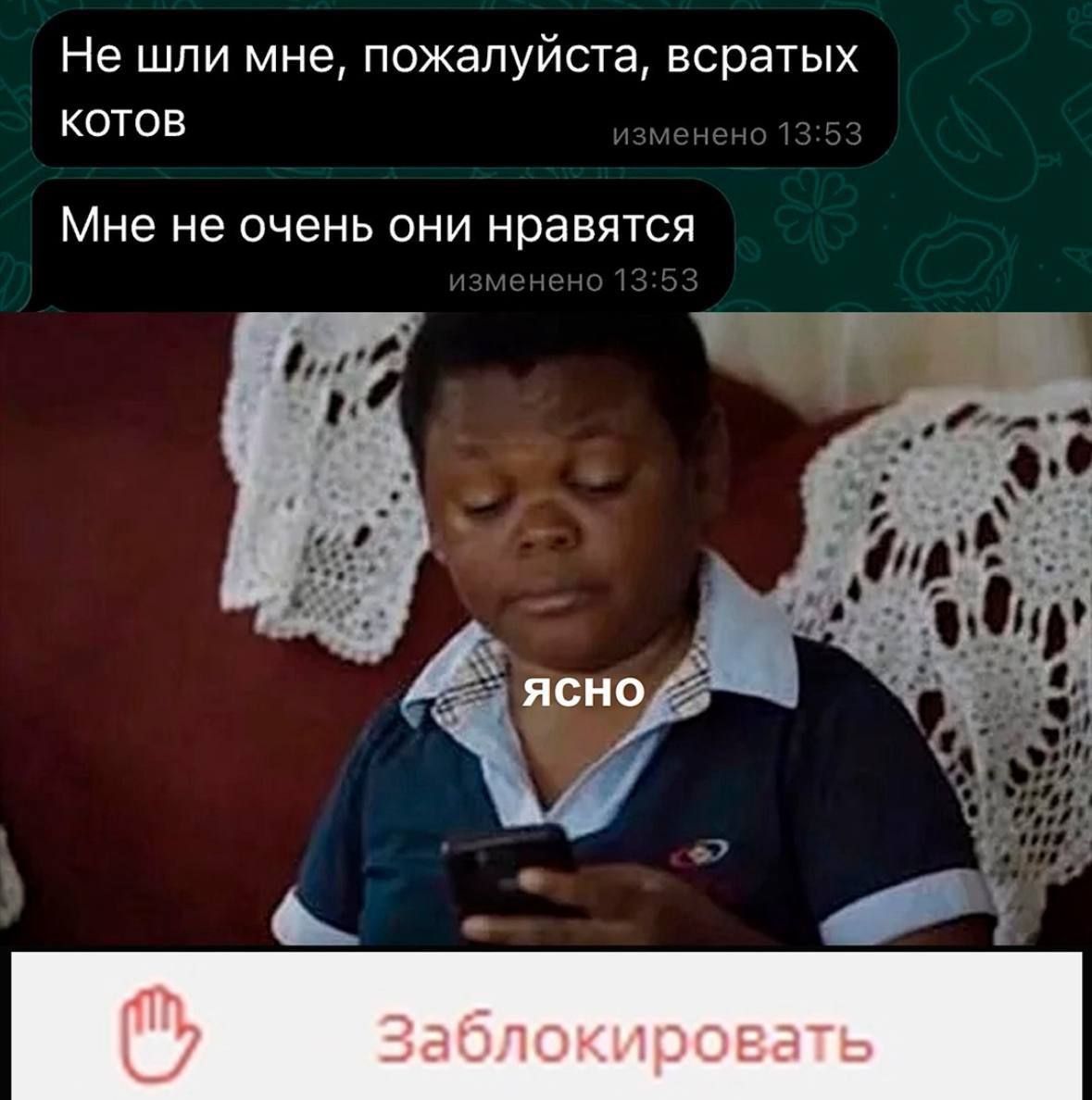 Не шли меня, пожалуйста, всратых котов
Мне не очень они нравятся
ясно