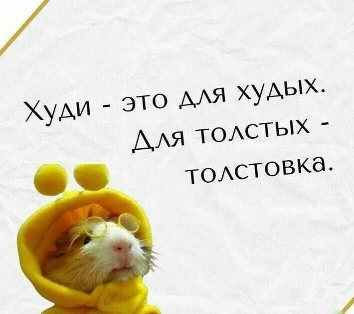 Худи - это для худых. Для толстых - толстовка.