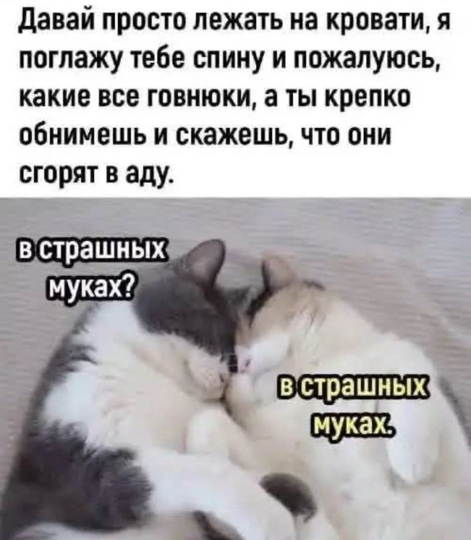 Давай просто лежать на кровати, я поглажу тебе спину и пожалуюсь, какие все говнюки, а ты крепко обнимешь и скажешь, что они сгорают в аду.
в страшных муках?
в страшных муках,