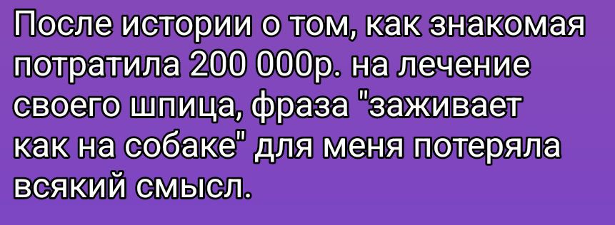 После истории о том, как знакомая потратила 200 000р. на лечение своего шпица, фраза 
