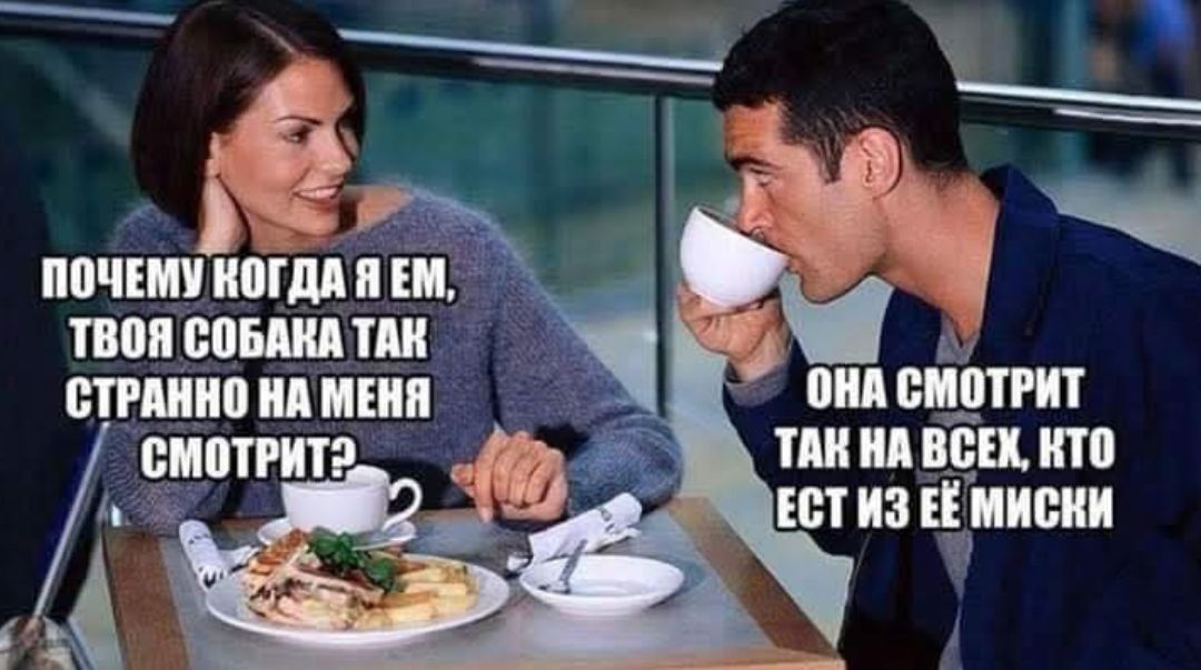 ПОЧЕМУ КОГДА Я ЕМ, ТВОЯ СОБАКА ТАК СТРАННО НА МЕНЯ СМОТРИТ? Она смотрит так на всех, кто ест из её миски