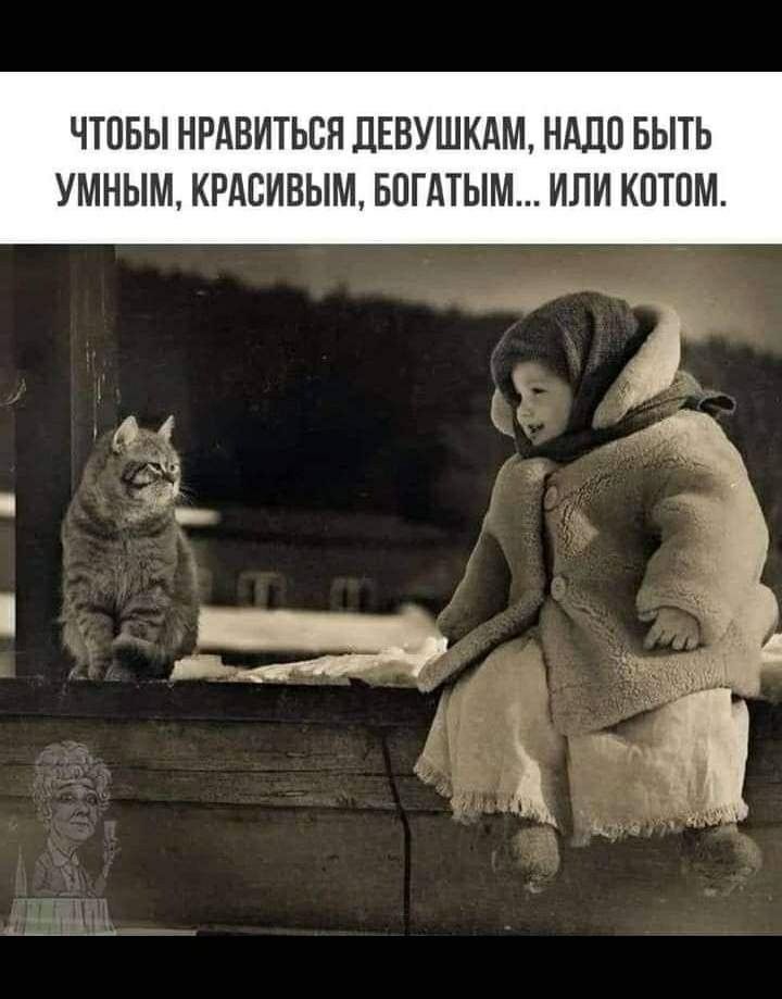 ЧТОБЫ НРАВИТЬСЯ ДЕВУШКАМ, НАДО БЫТЬ УМНЫМ, КРАСИВЫМ, БОГАТЫМ... ИЛИ КОТОМ.