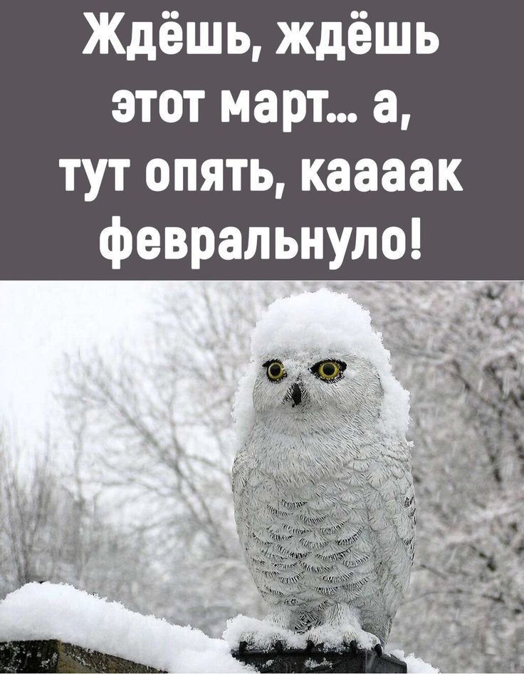 Ждёшь, ждёшь этот март... а, тут опять, каааак февральнуло!