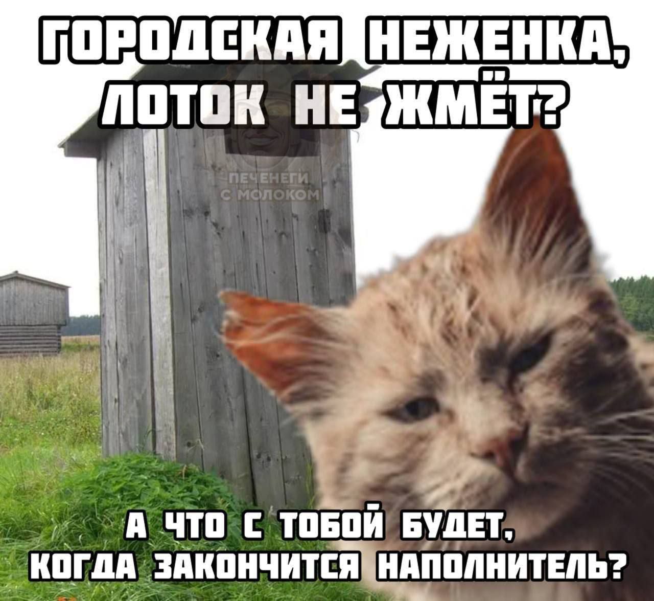 ГОРОДЕКАЯ НЕЖЕНКА, ЛОТОК НЕ ЖМЁТ? А ЧТО С ТОБОЙ БУДЕТ, КОГДА ЗАКОНЧИТСЯ НАПОЛНИТЕЛЬ?