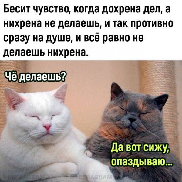 Бесит чувство, когда дохрена дел, а нихрена не делаешь, и так противно сразу на душе, и всё равно не делаешь нихрена. Чё делаешь? Да вот сижу, опаздываю...
