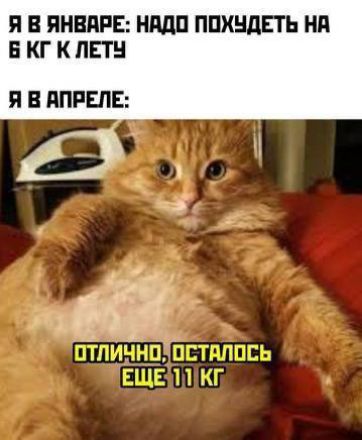Я в январе: надо похудеть на 6 кг к лету
Я в апреле:
ОТЛИЧНО, ОСТАЛОСЬ ЕЩЕ 11 КГ