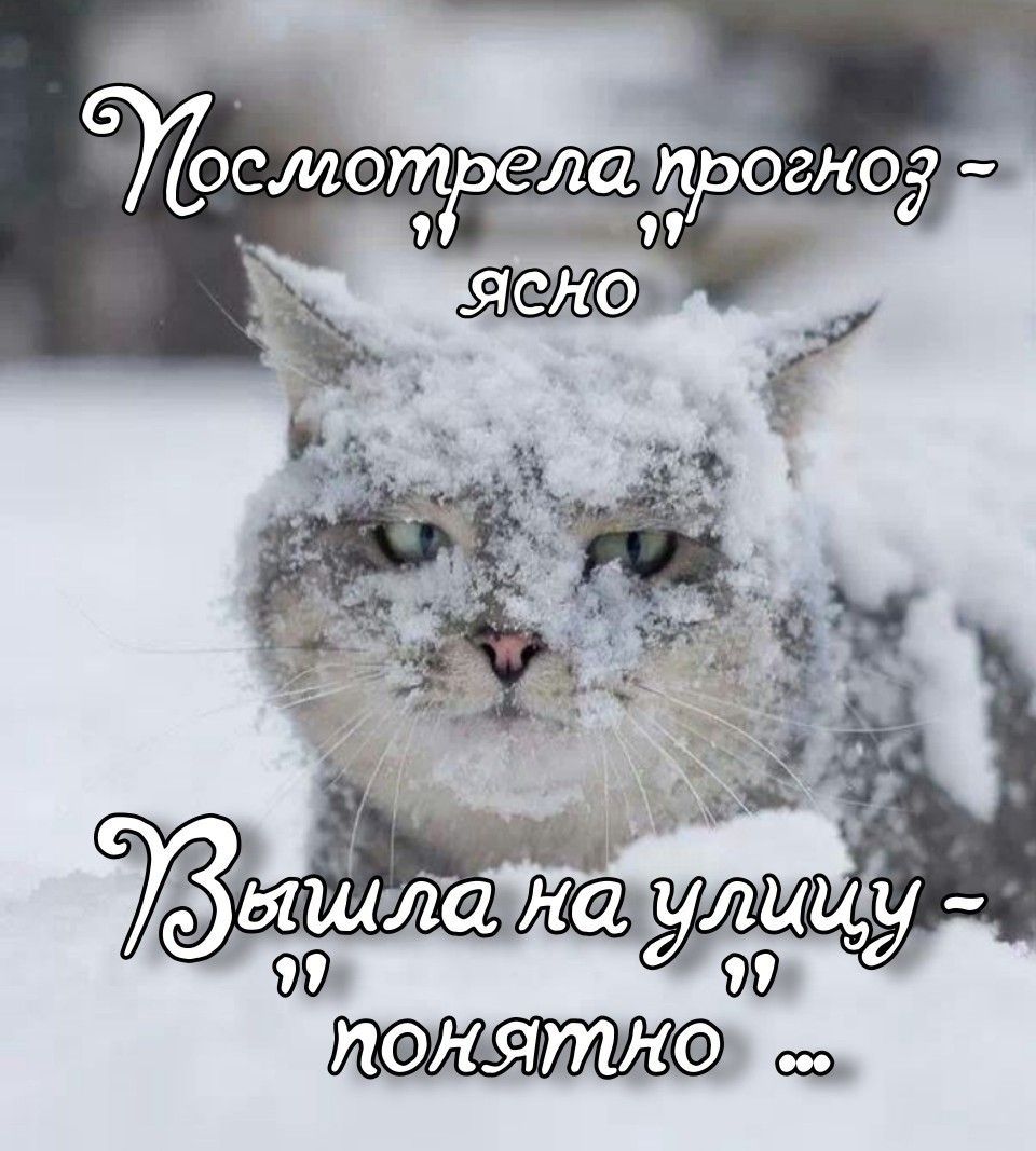 Посмотрела прогноз - ясно\nВышла на улицу - понятно ...