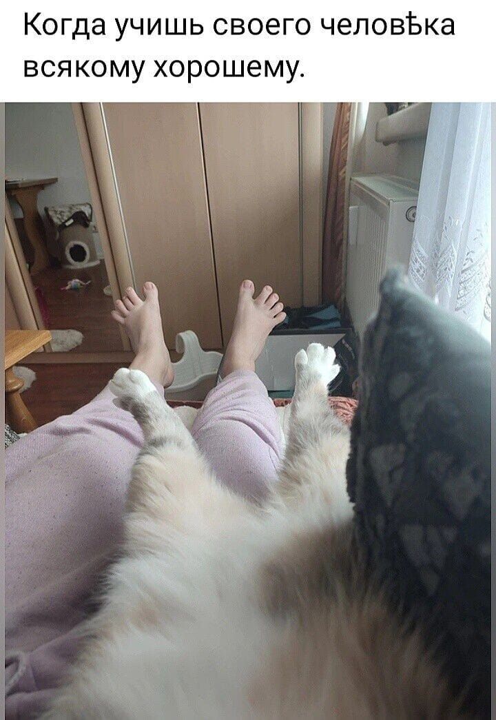 Когда учишь своего человека всякому хорошему.