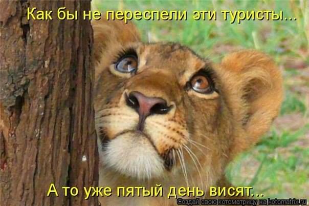 Как бы не переспели эти туристы... А то уже пятый день висят...