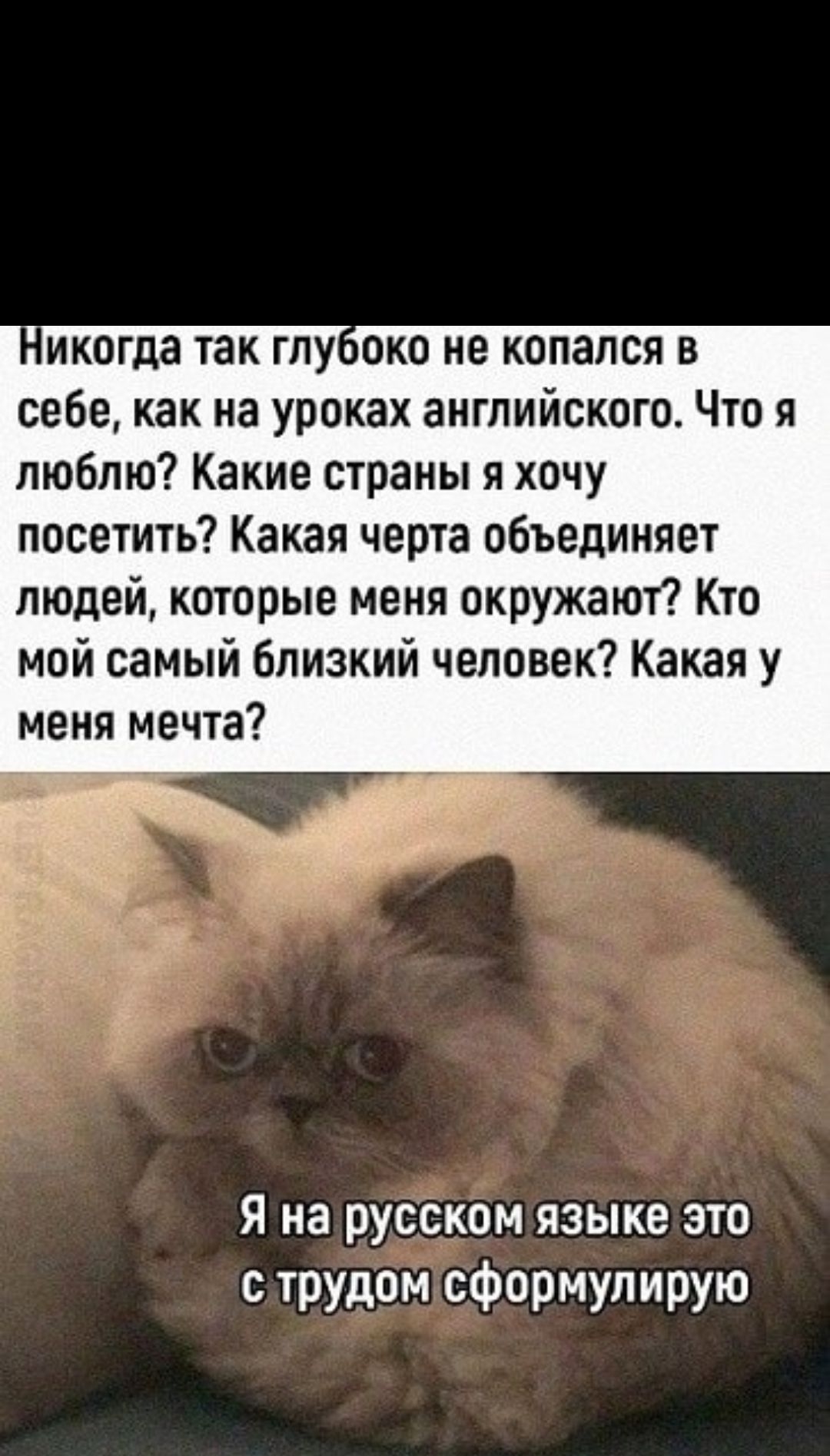 Никогда так глубоко не копался в себе, как на уроках английского. Что я люблю? Какие страны я хочу посетить? Какая черта объединяет людей, которые меня окружают? Кто мой самый близкий человек? Какая у меня мечта?
Я на русском языке это с трудом сформулирую