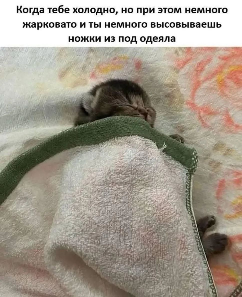 Когда тебе холодно, но при этом немного жарковато и ты немного высовываешь ножки из под одеяла