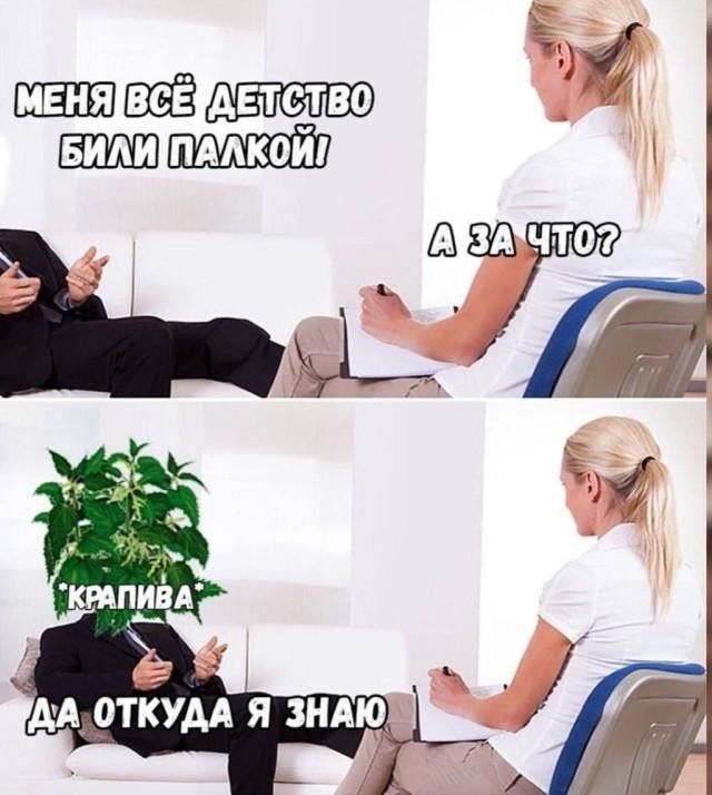 МЕНЯ ВСЁ ДЕТСТВО БИЛИ ПАЛКОЙ
А ЗА ЧТО?
КРАПИВА
ДА ОТКУДА Я ЗНАЮ