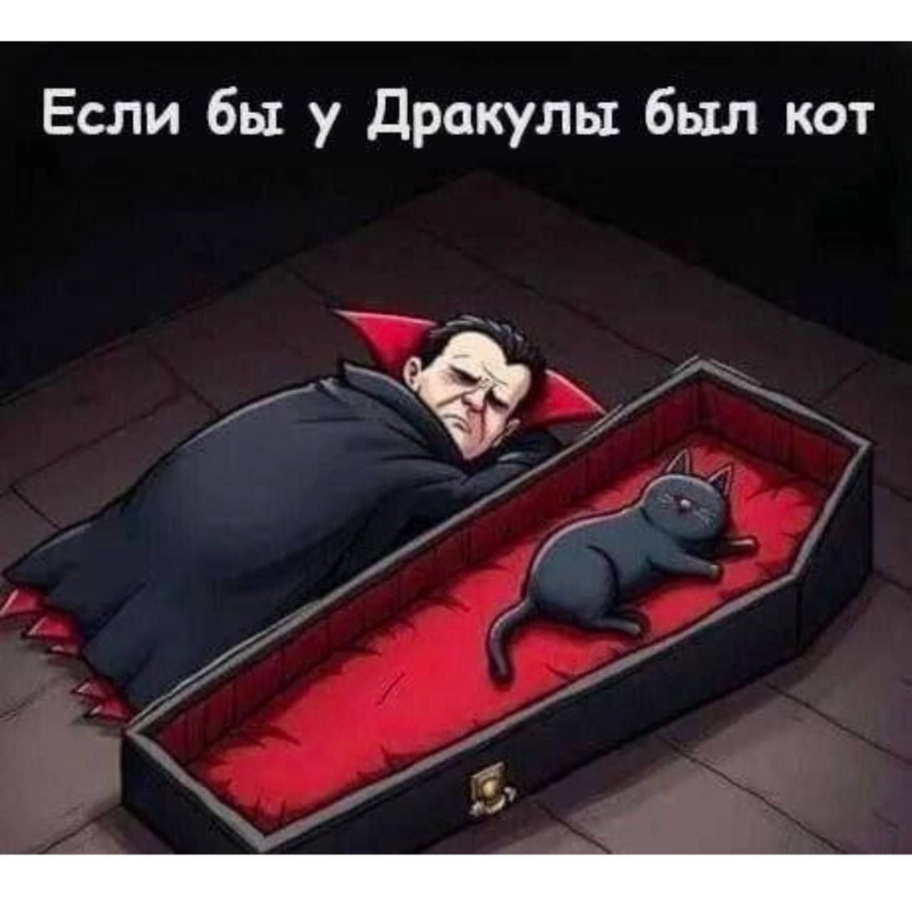 Если бы у Дракулы был кот