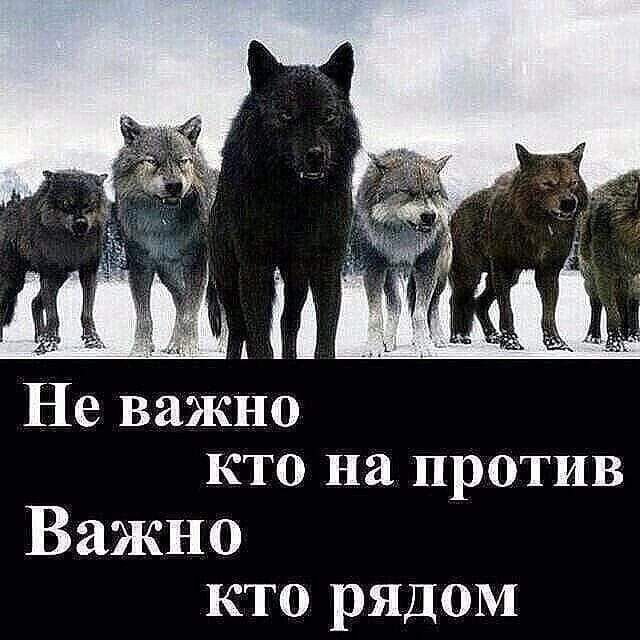 Не важно кто на против. Важно кто рядом.