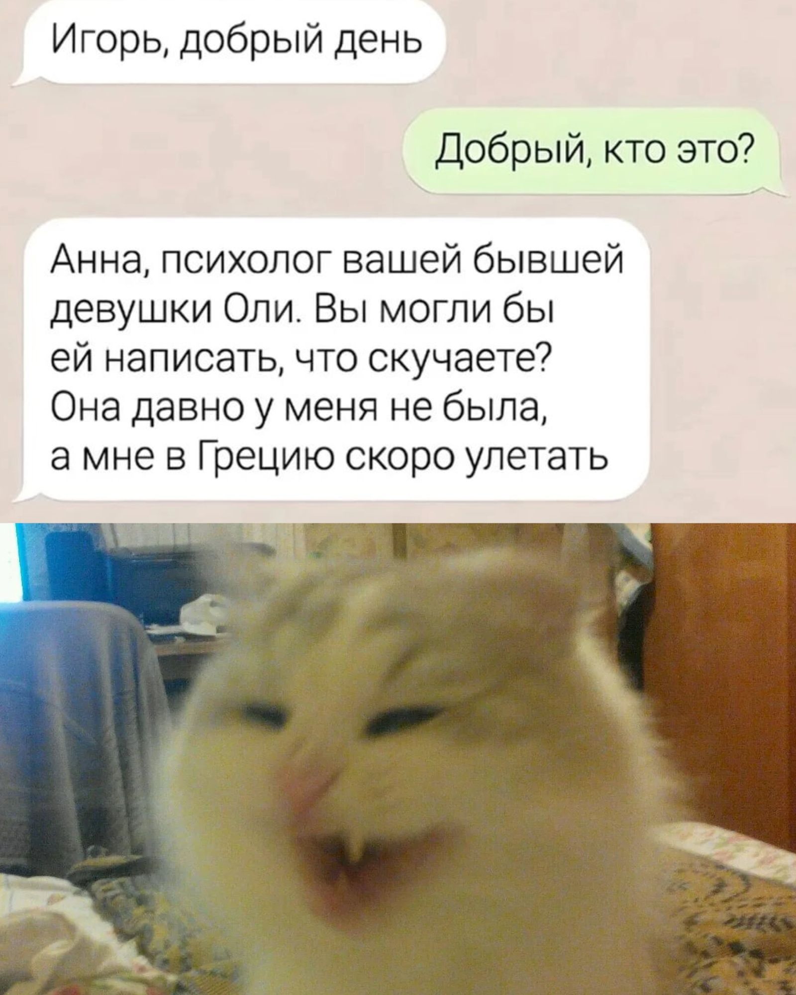 Игорь, добрый день
Добрый, кто это?
Анна, психолог вашей бывшей девушки Оли. Вы могли бы ей написать, что скучаете? Она давно у меня не была, а мне в Грецию скоро улетать