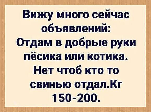 Вижу много сейчас объявлений: Отдам в добрые руки пёсика или котика. Нет чтоб кто то свинью отдал. Кг 150-200.
